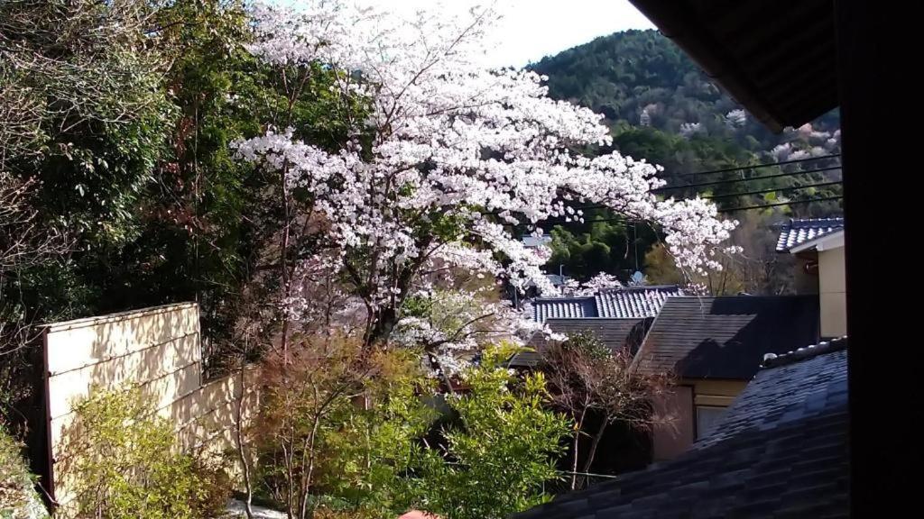 金閣荘 Kyoto