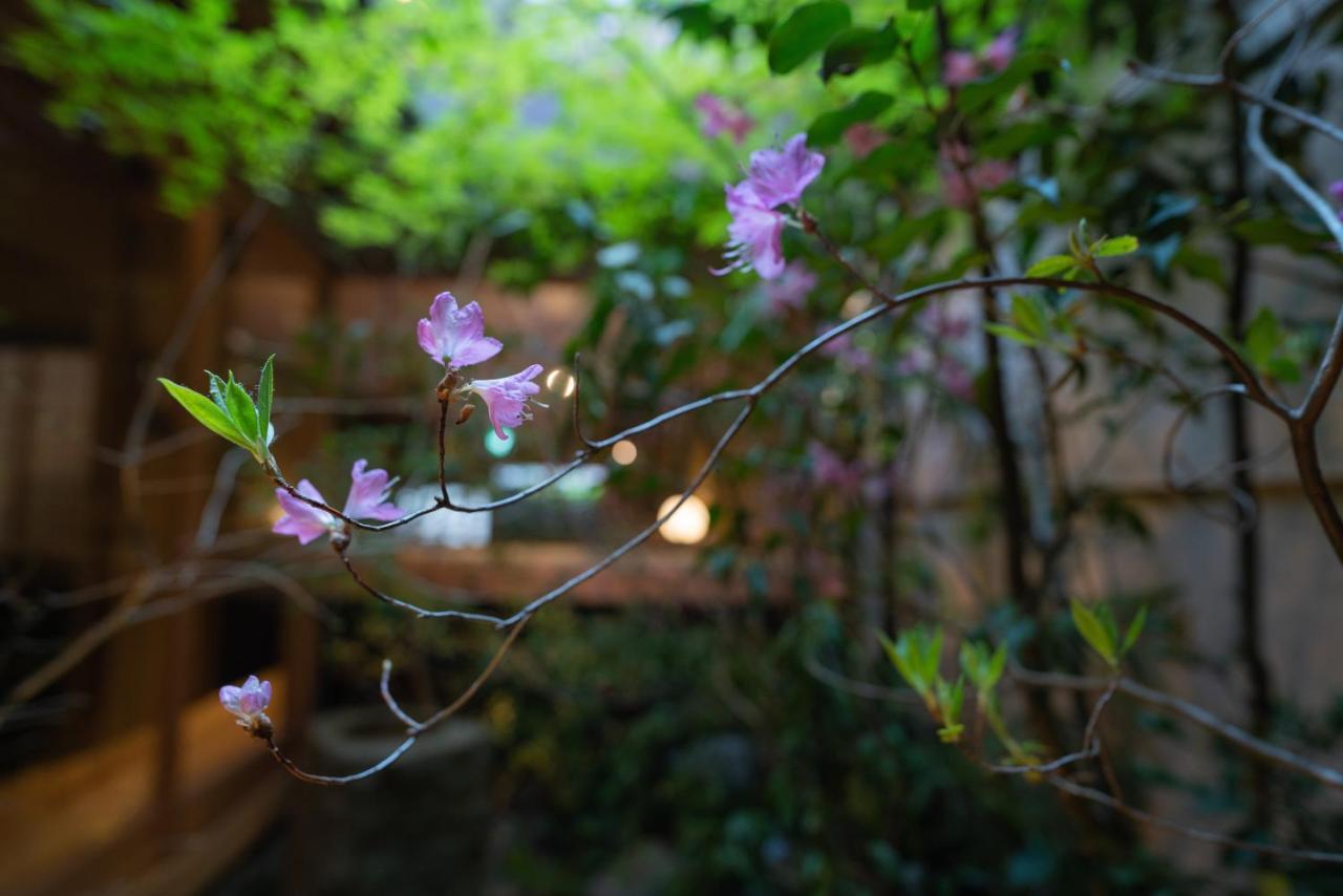 慶有魚-宫 * Kyoto