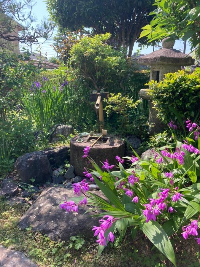 Homestay Sakura House *