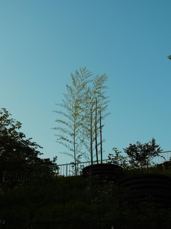 Guest house Engawa