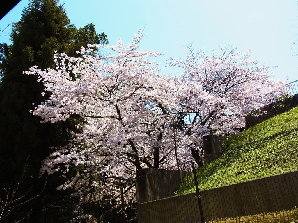 Engawa