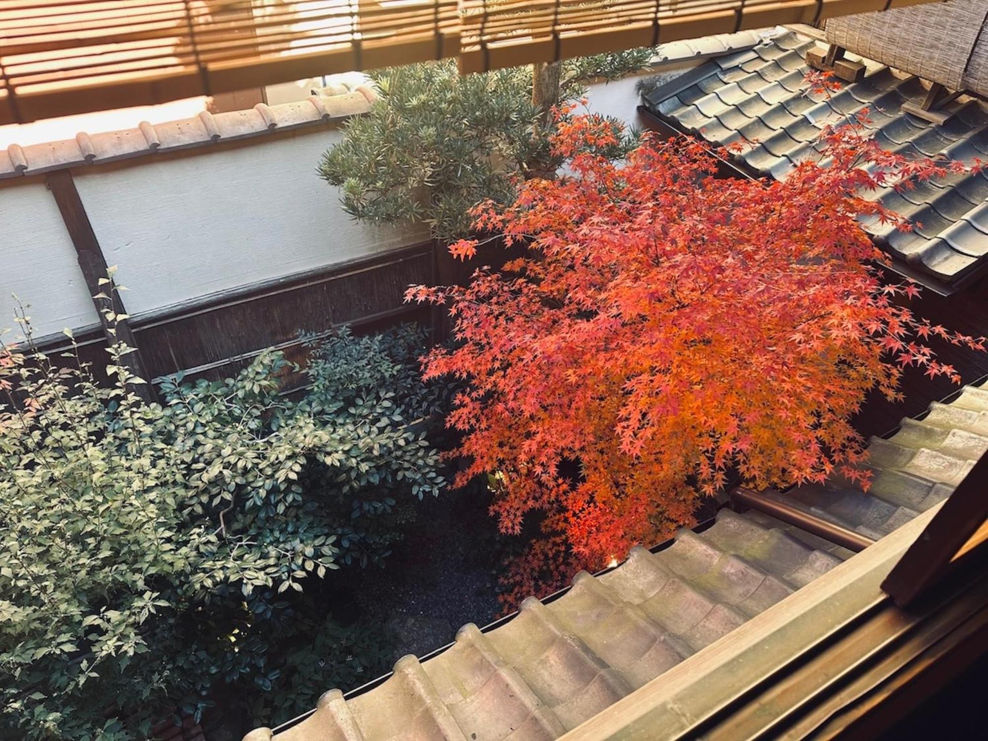 Guest house Tsukie - Vacation 14504v Kyoto