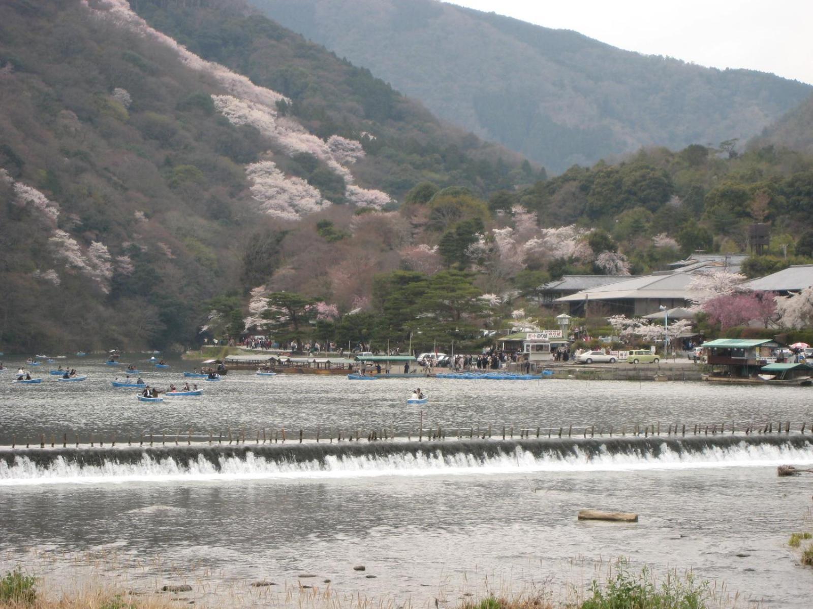 Hotel Arashiyama 2*