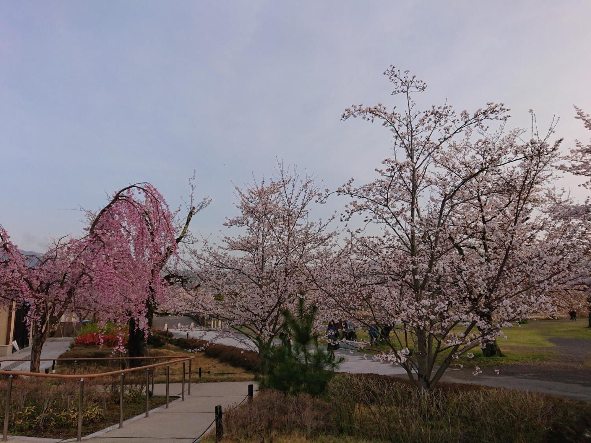 Arashiyama 2*