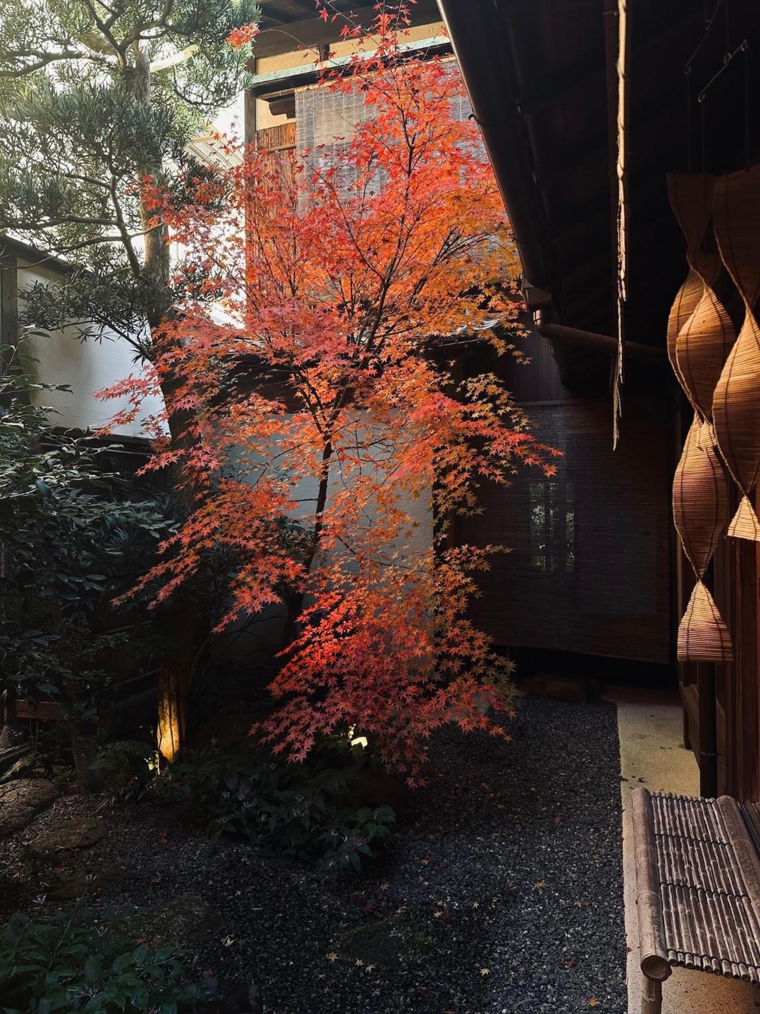 Tsukie - Vacation 14504v * Kyoto
