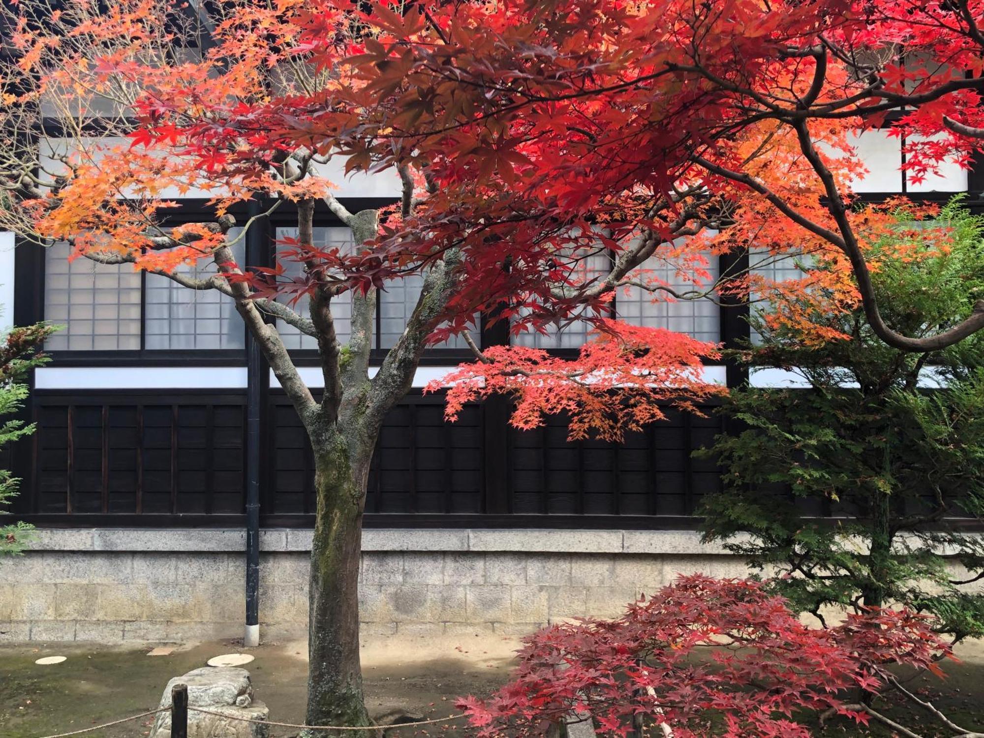 Inari-home Kyoto