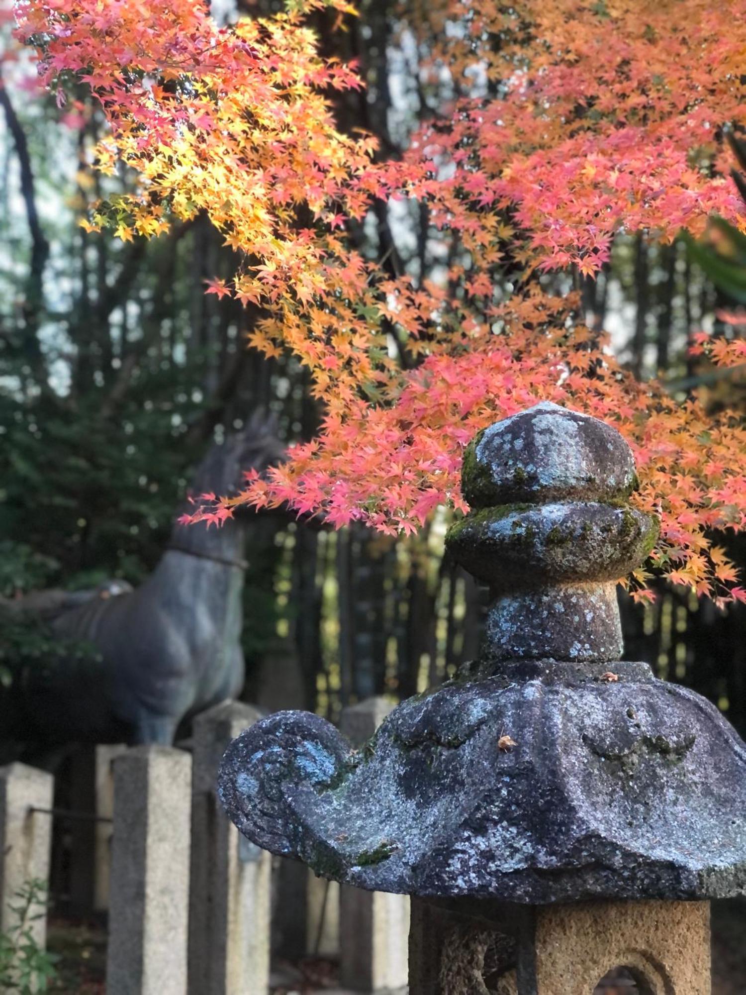 Inari-home Kyoto