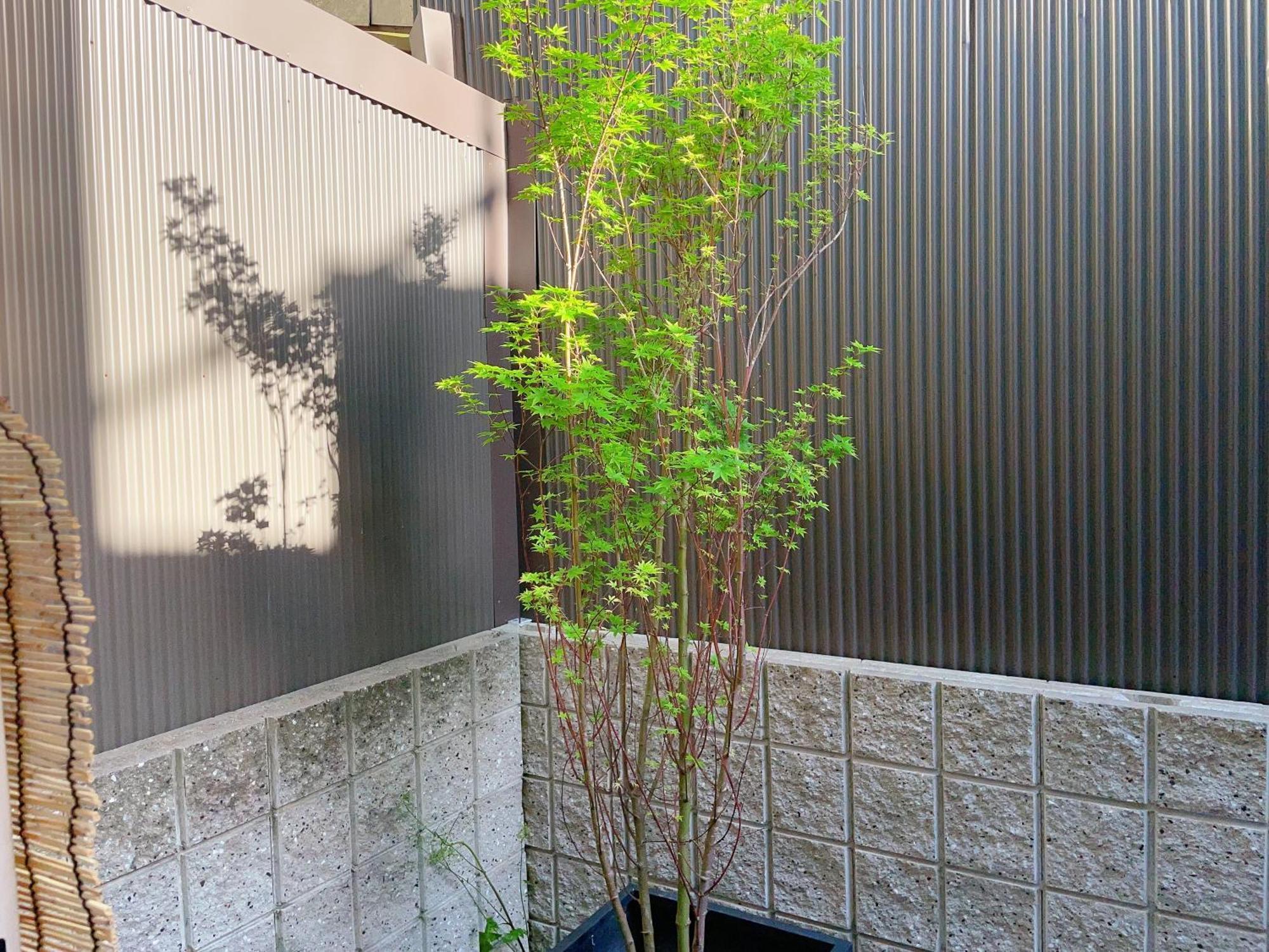 Suikakan Heianjingumae 酔花間 Guest house Kyoto
