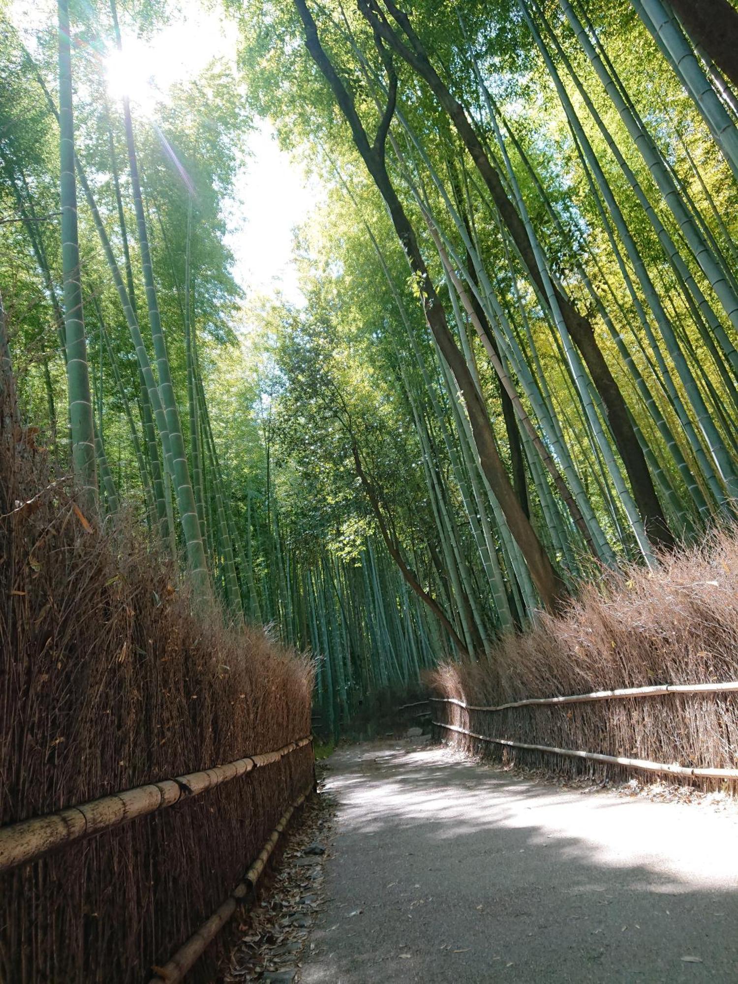 Hotel Arashiyama Kyoto