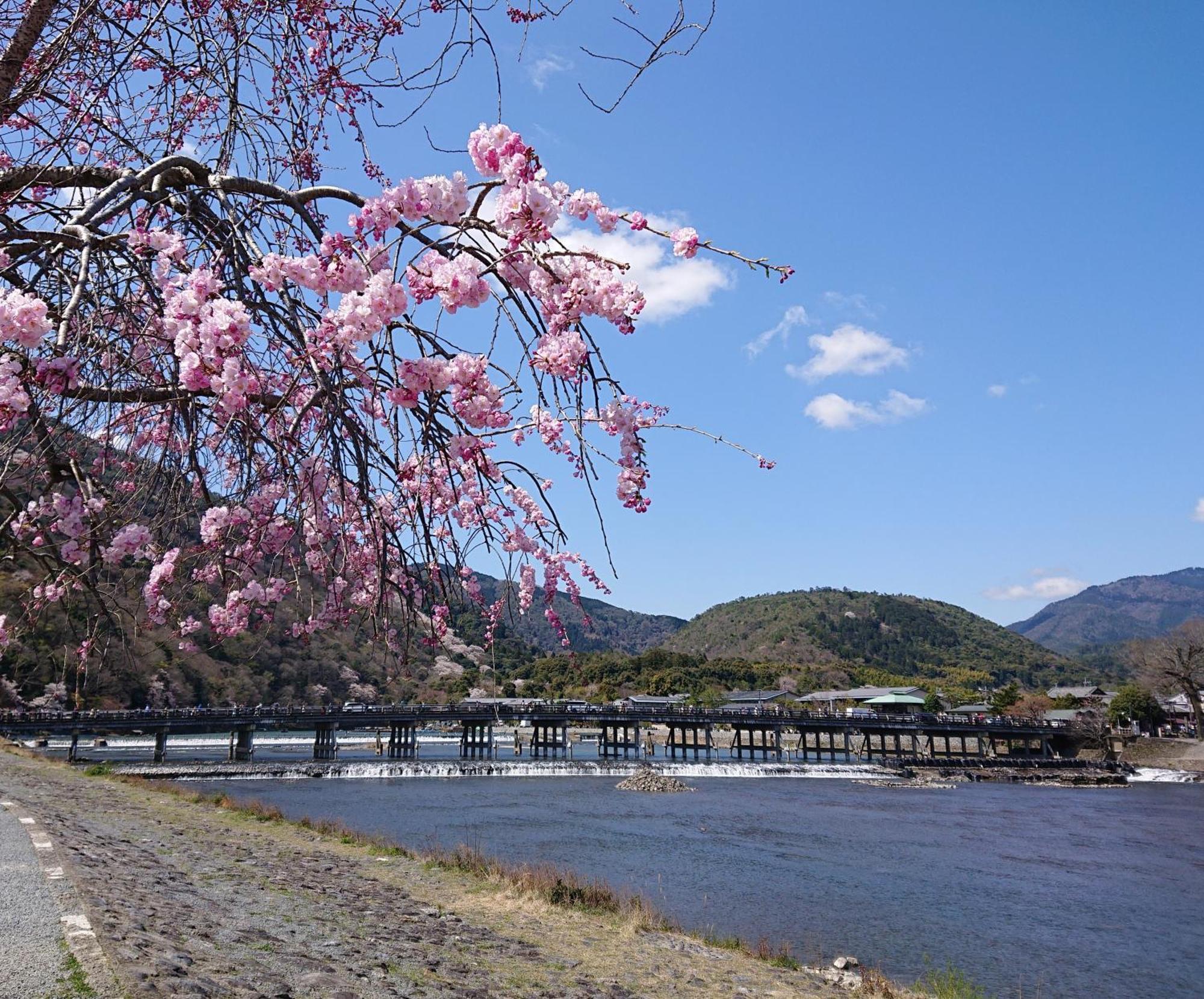 Hotel Arashiyama 2*