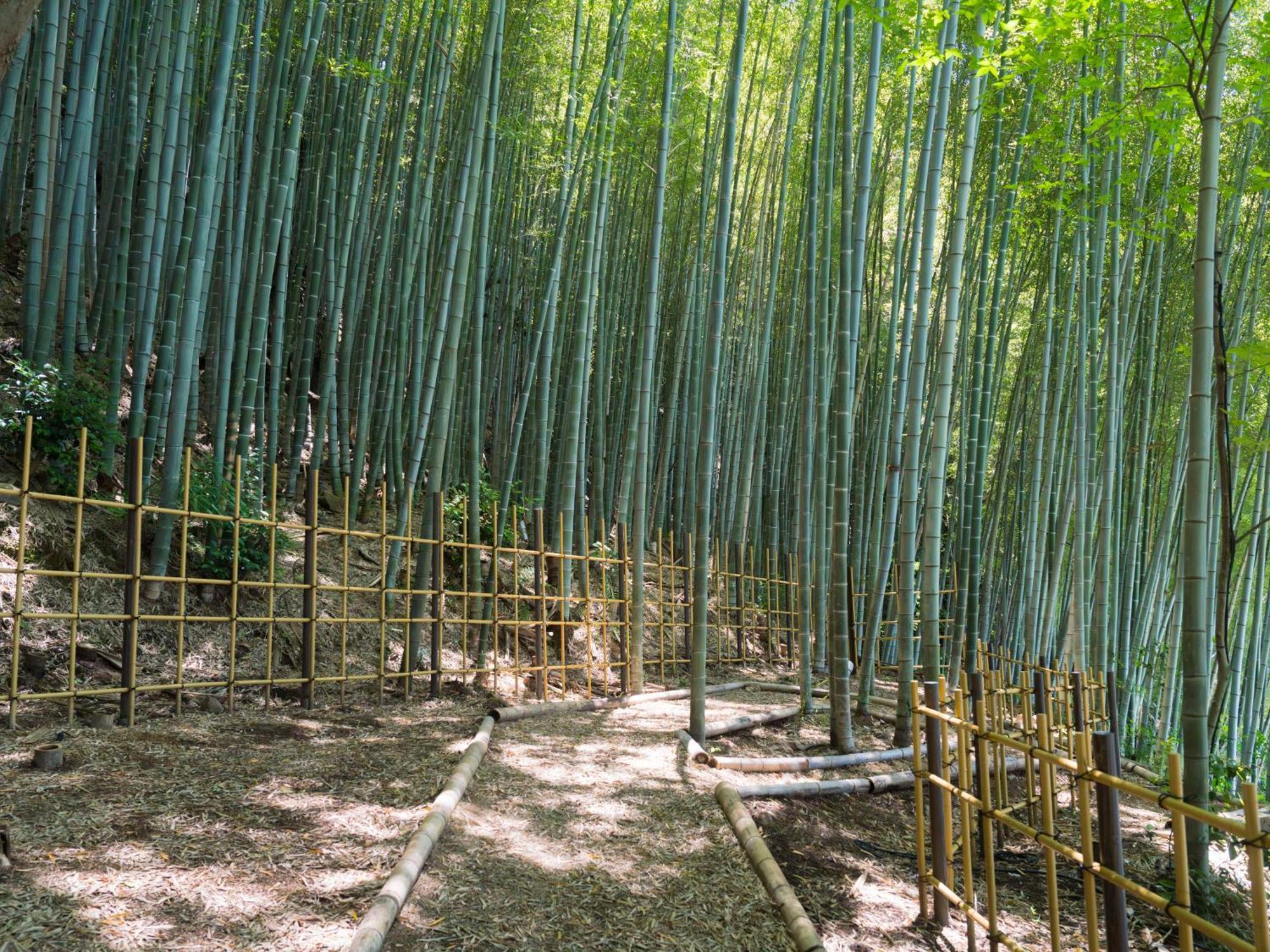 Banyan Tree Higashiyama Hotel Kyoto