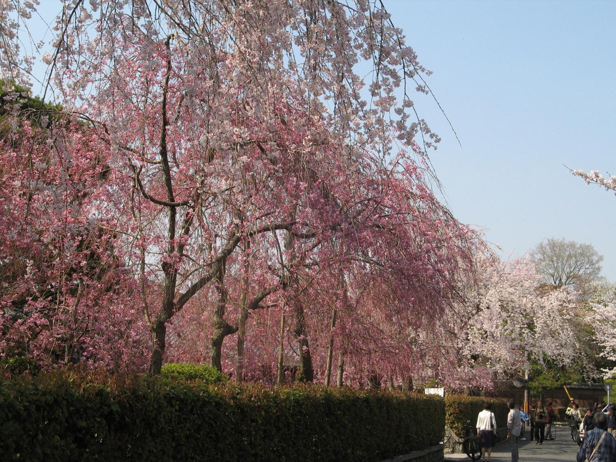 Heian No Mori Hotel