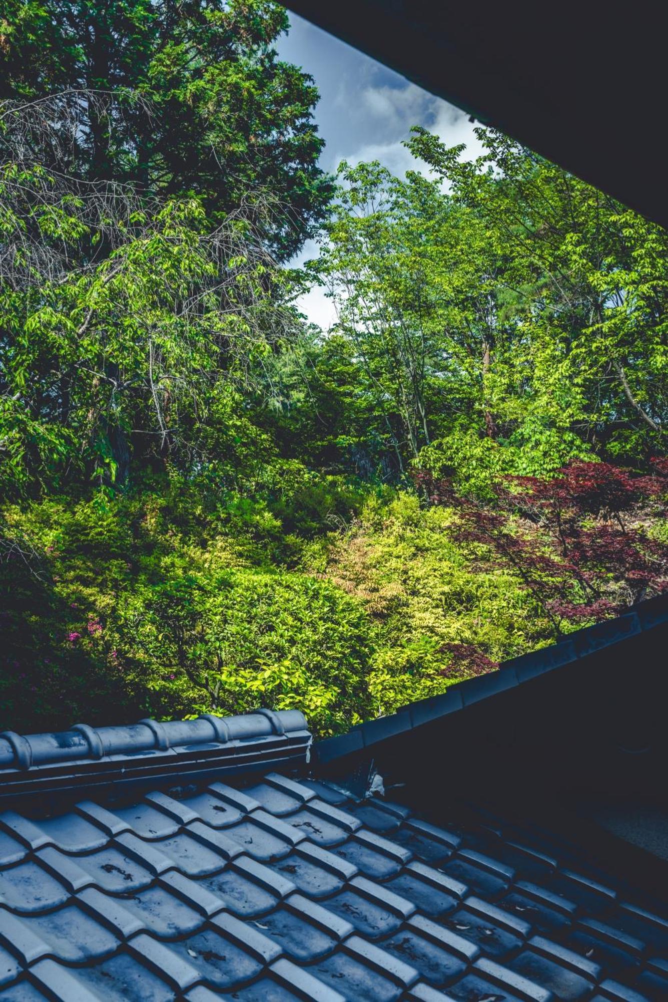 京都傳統古民宅 日式庭園 5房2衛浴 吉田神社旁 可停車 哲學之道 銀閣寺車程5分 Homestay *