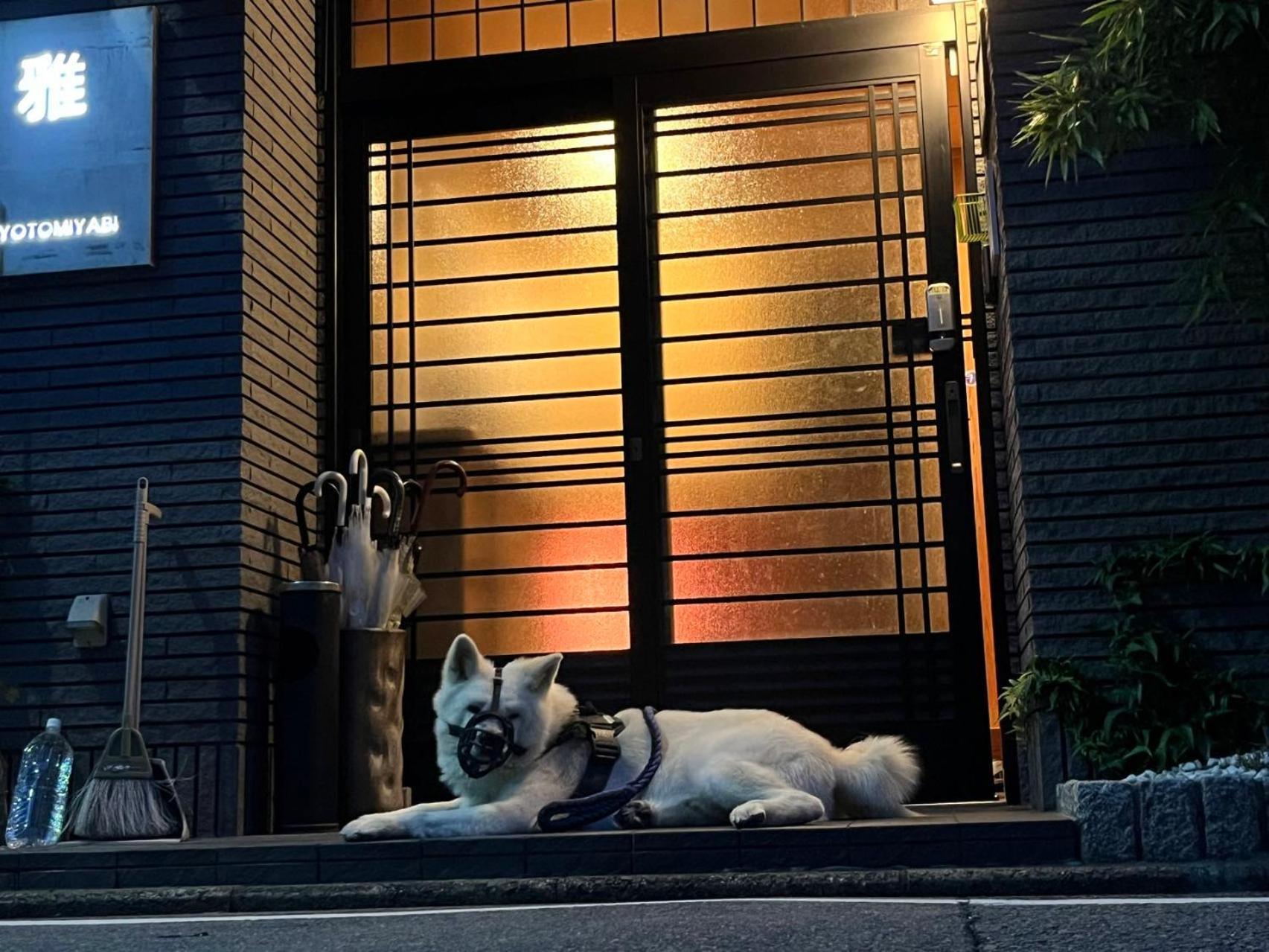 雅 * Kyoto
