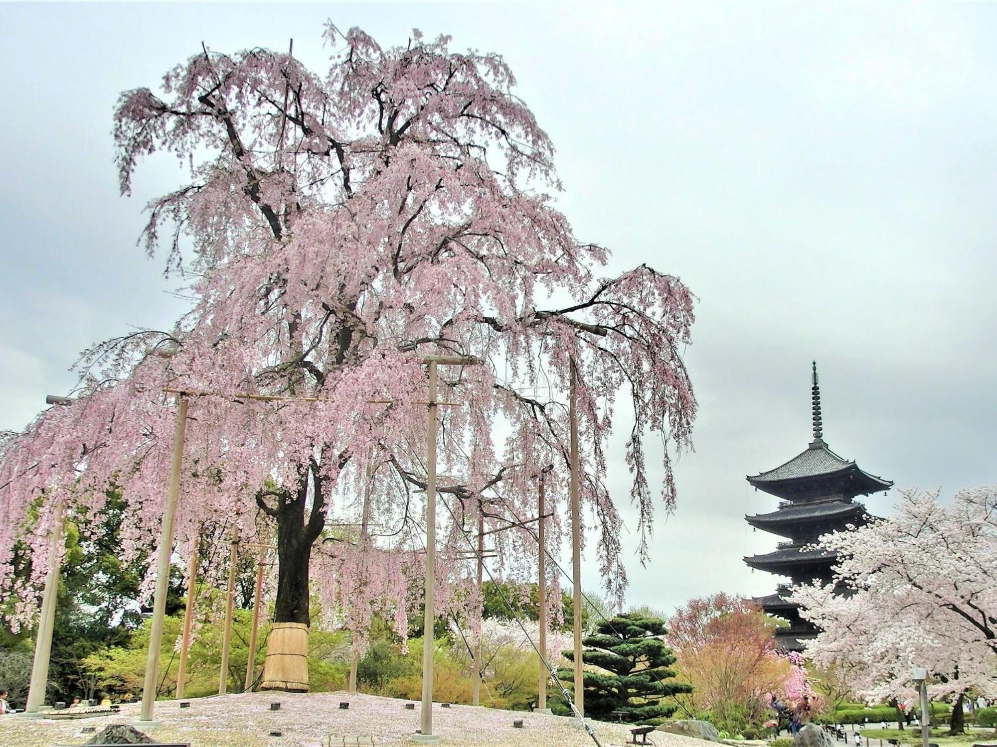 Aparthotel Sakura Higashi Hongan-ji I 3*