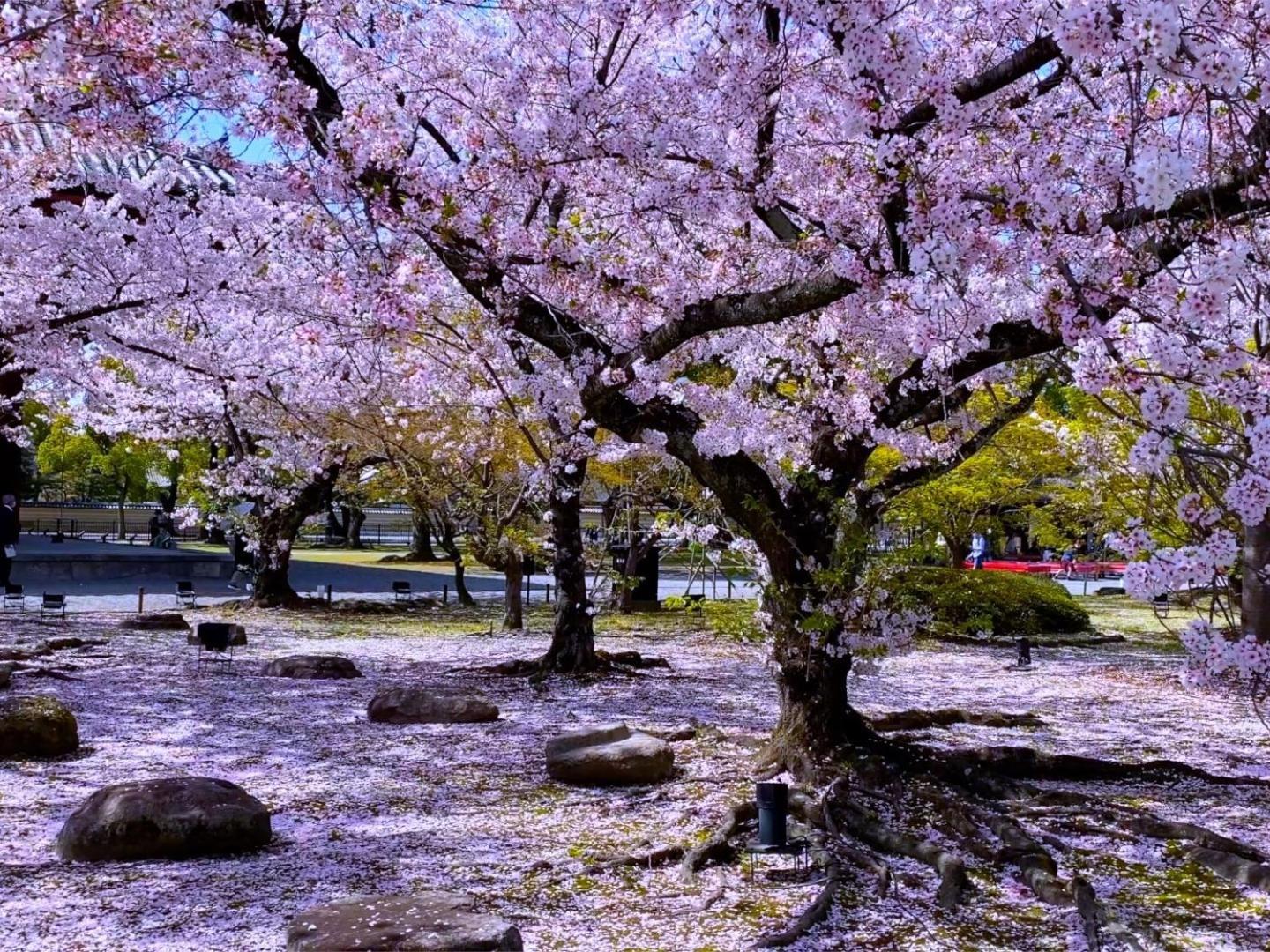 Aparthotel Sakura Higashi Hongan-ji I