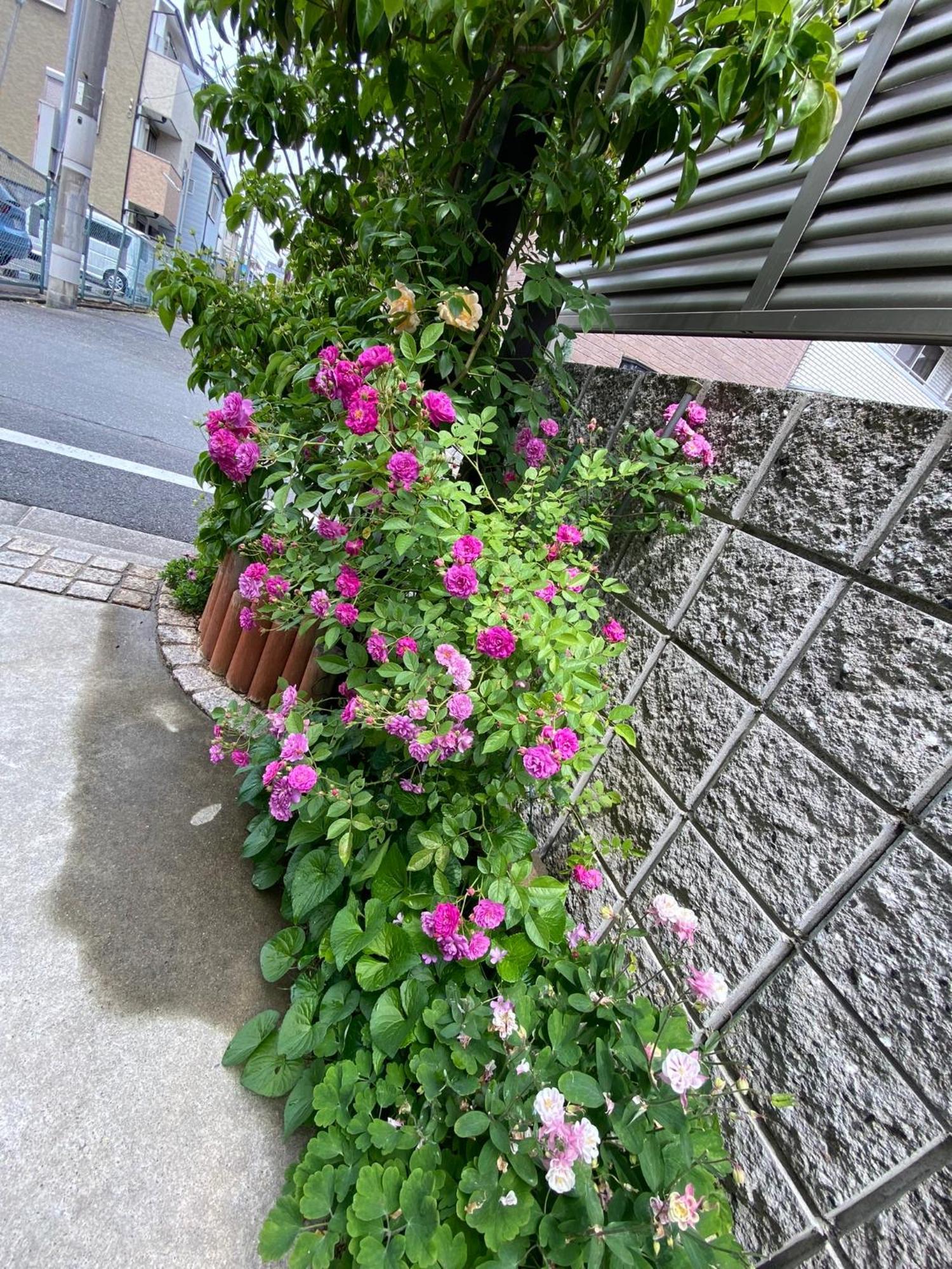 Guest house 遥華-haruka House