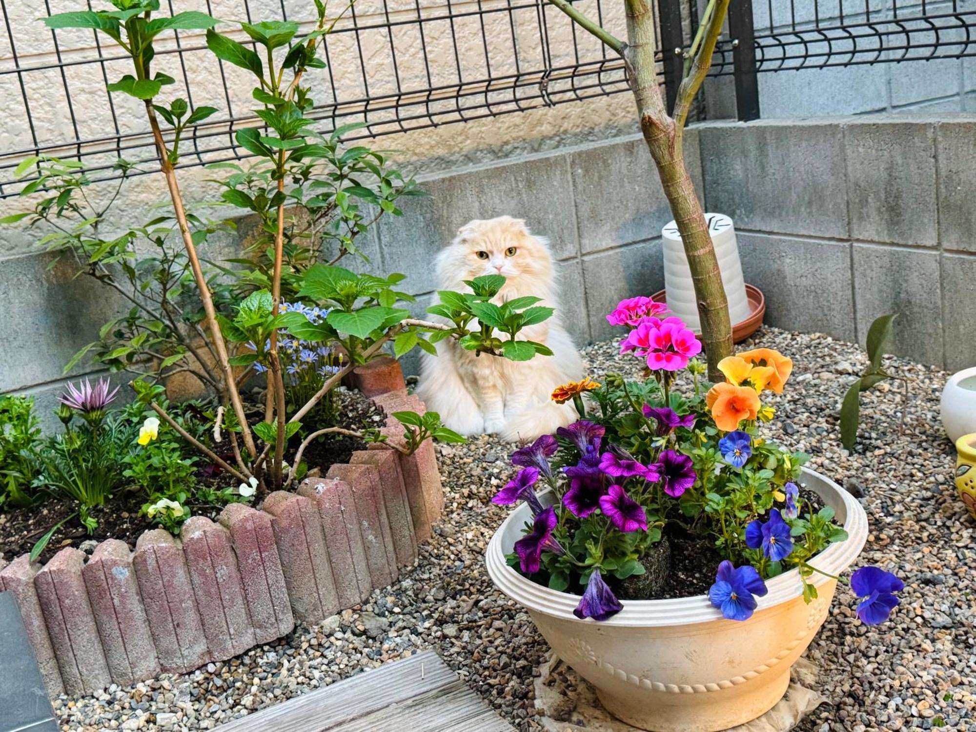 遥華-haruka House * Kyoto