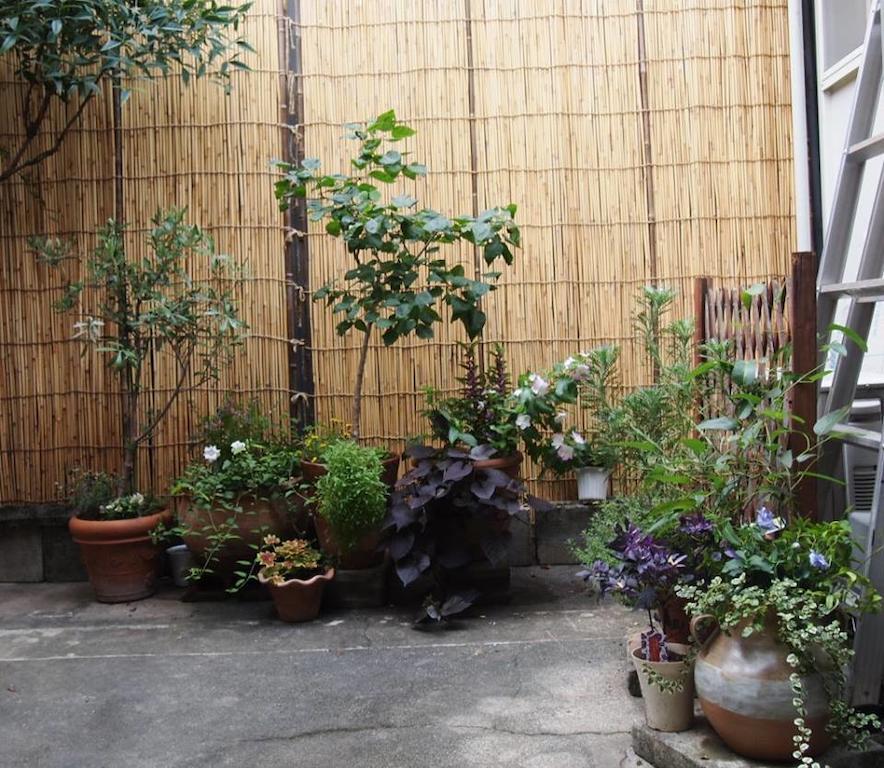 Hostel Usagi-momiji Kyoto