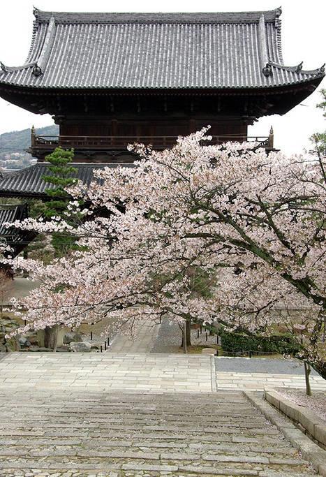 Holiday home Nanako House Kyoto