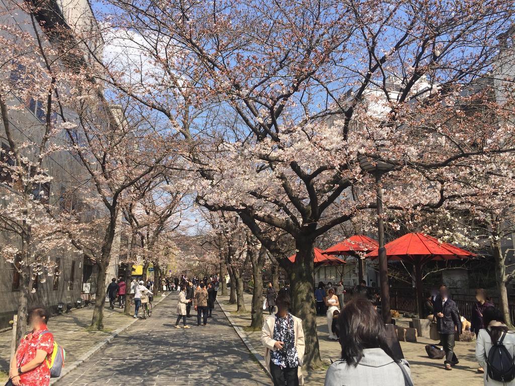 Kyomaru * Kyoto