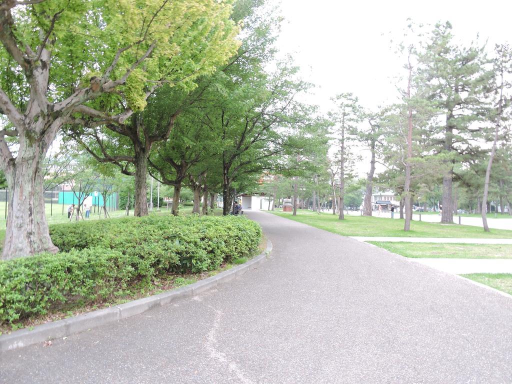Ninja Guest house *