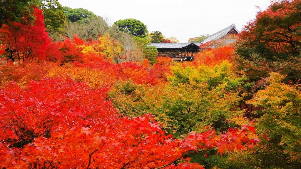 Holiday home Fushimi Kikyo-tei *