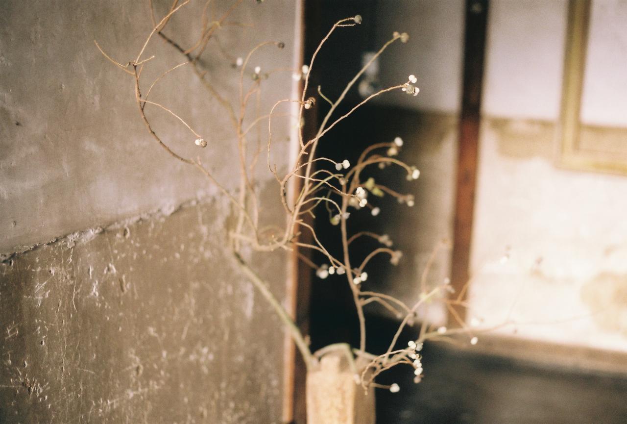 Corsage 2* Kyoto