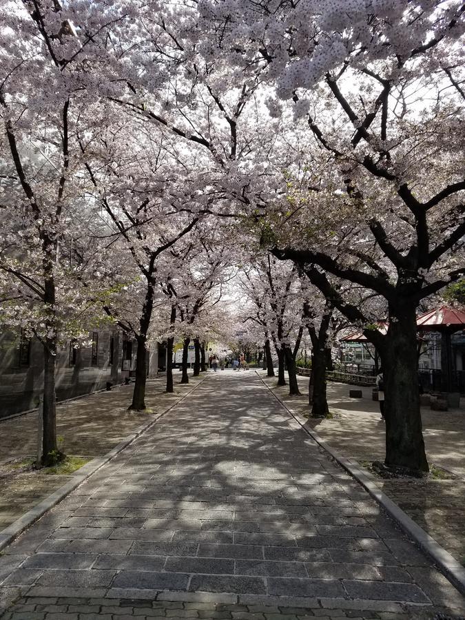 Apartment Glanz Kei Gion Shinmonzen *
