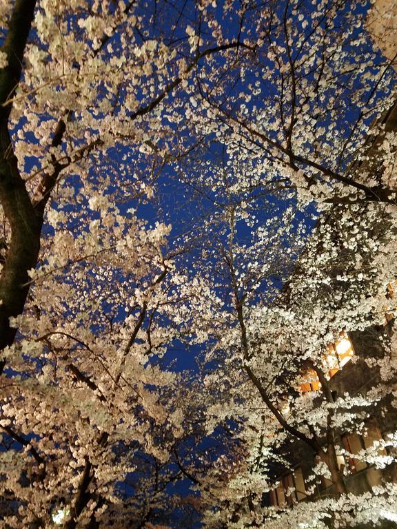 Glanz Kei Gion Shinmonzen Kyoto