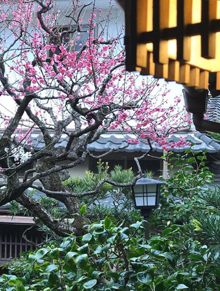 My Pied A Terre Ninoan Kyoto