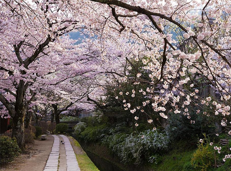 My Pied A Terre Ninoan * Kyoto