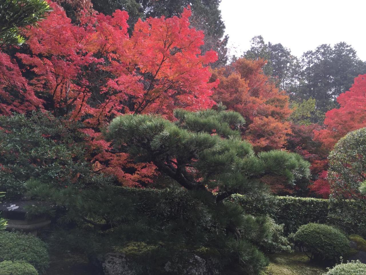 Ryokan Yamazaki 3*