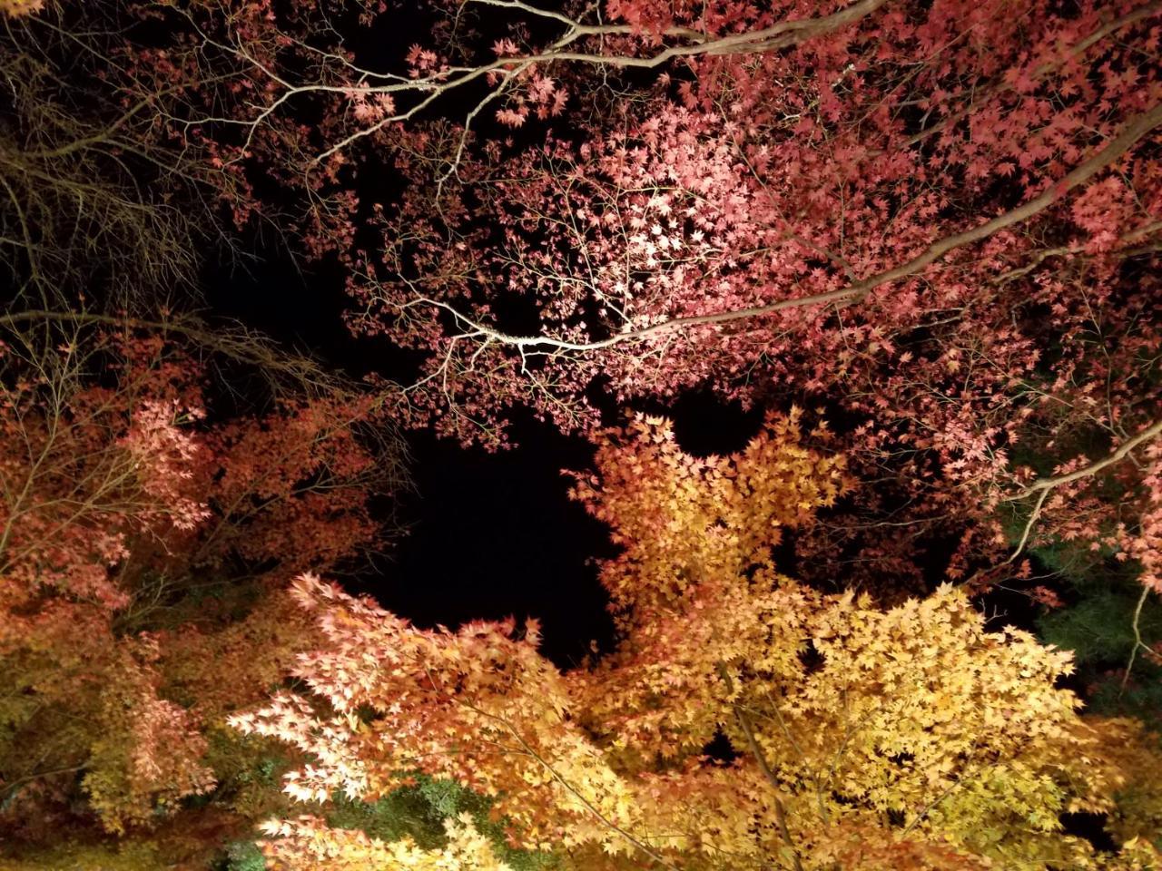 Glanz Kei Gion Shinmonzen