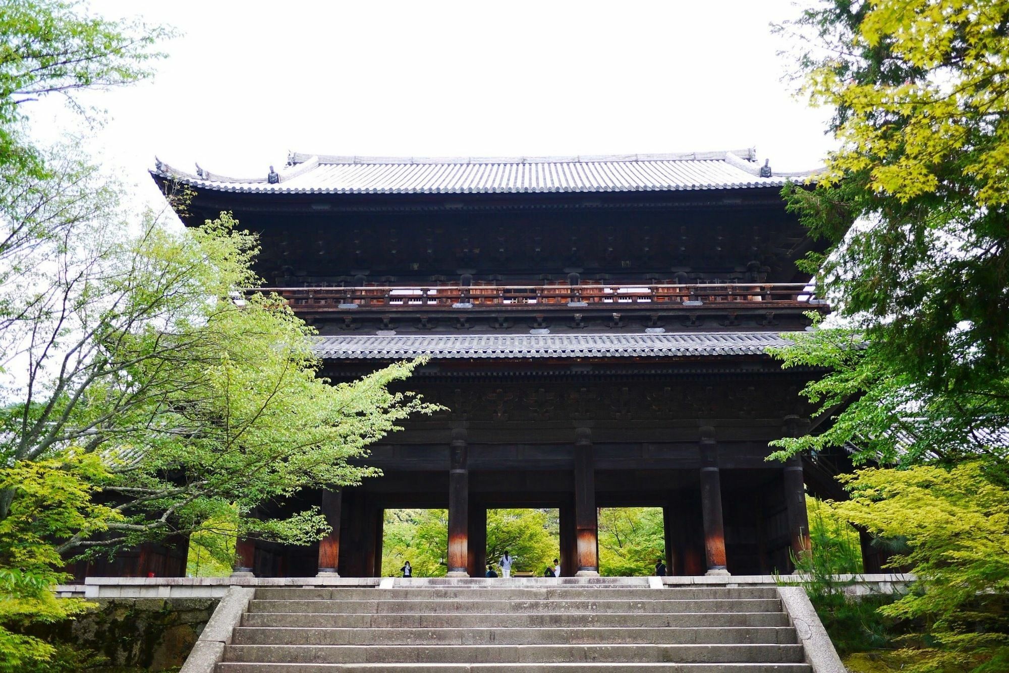 Kodaiko