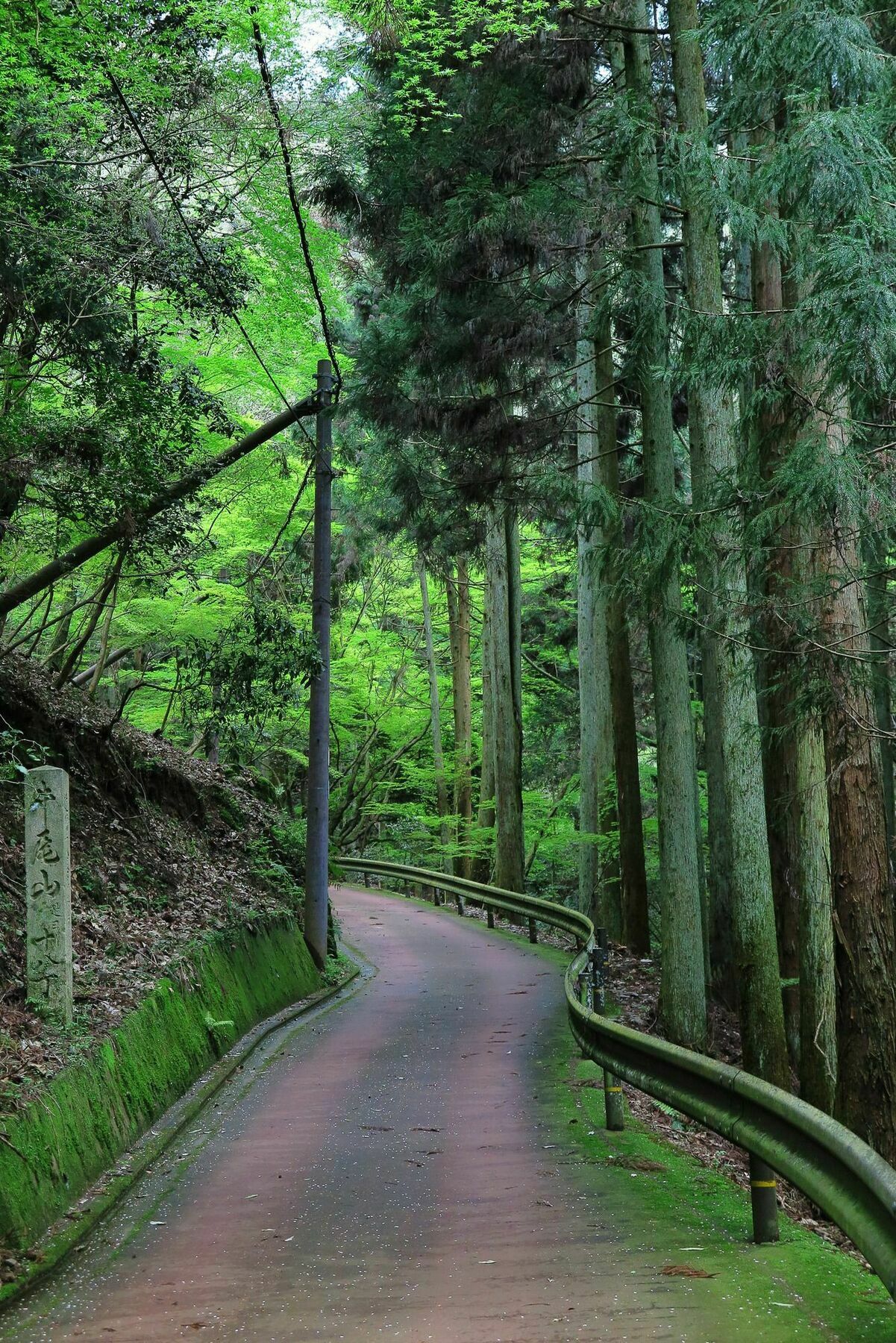 Wanokura Kyoto