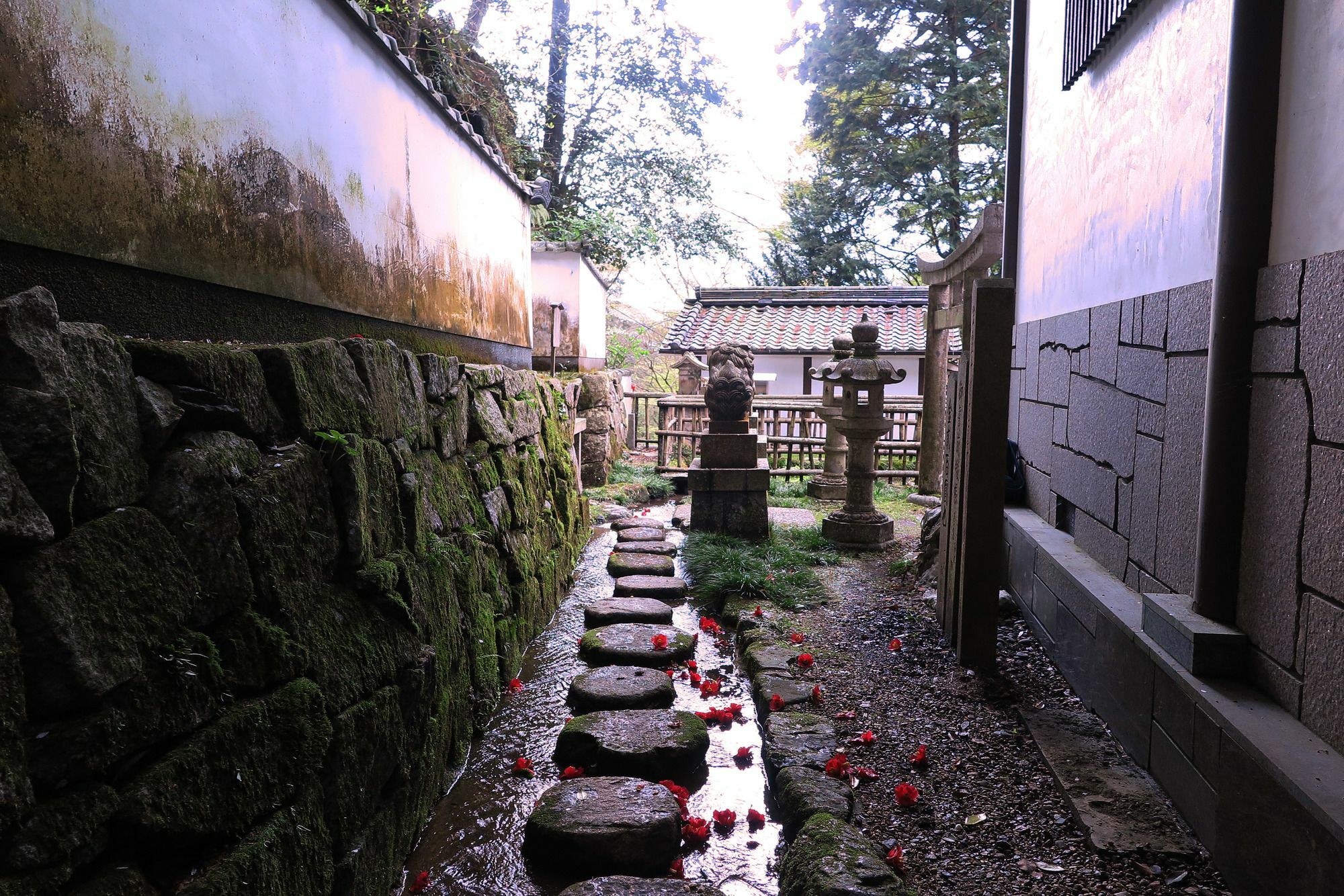 Guest house Wanokura 3*