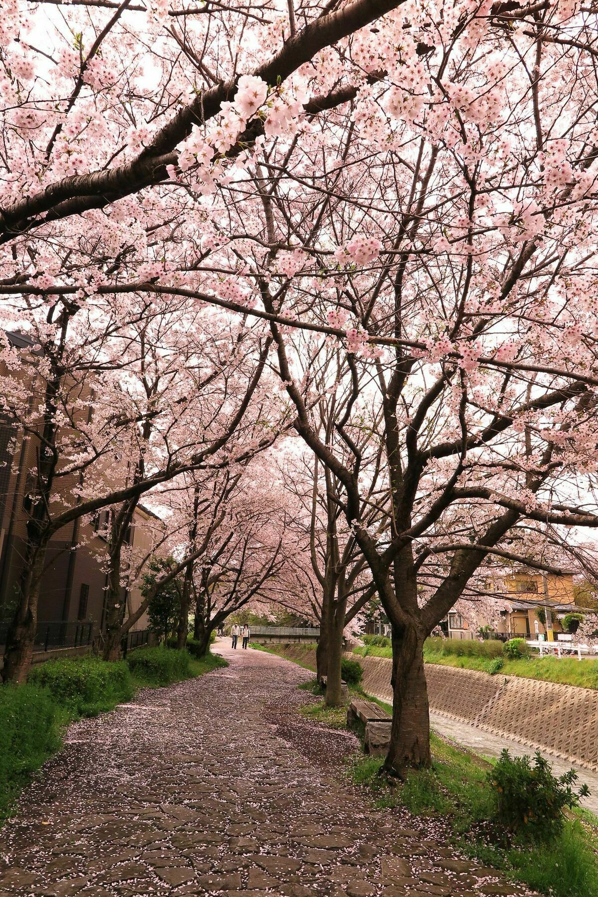 Wanokura Guest house Kyoto