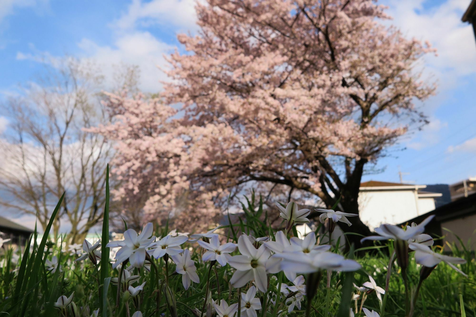 Guest house Wanokura Kyoto
