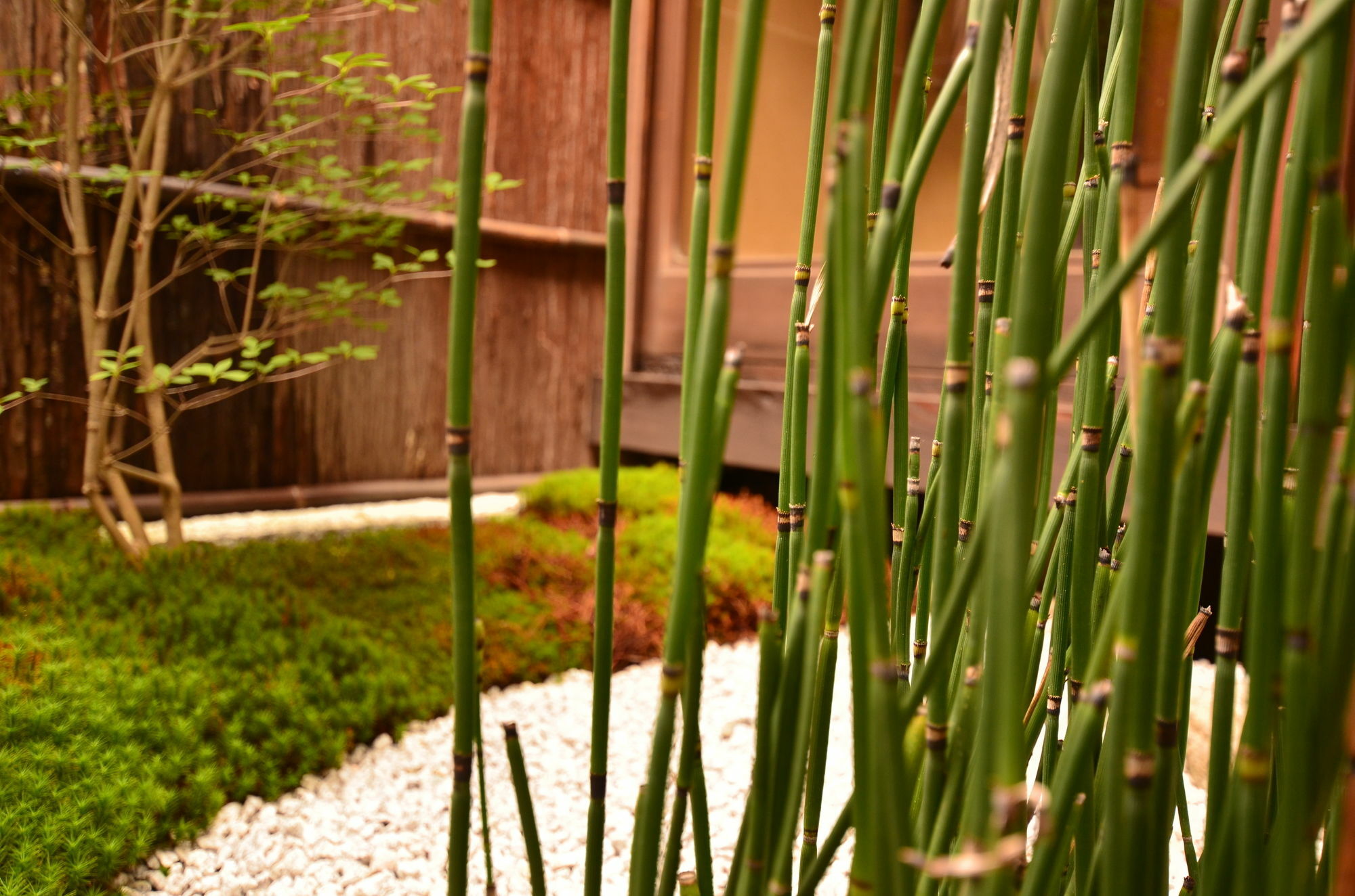 Grateful Guest house 2*
