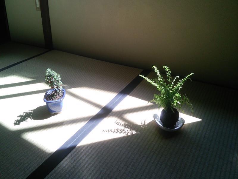 Kyo No Yado Bamboo Town