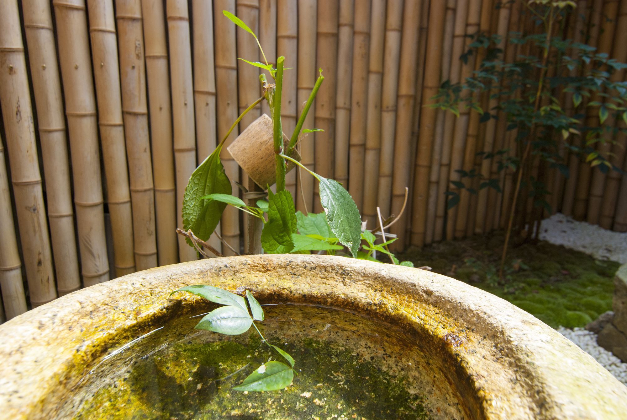 Kyo No Yado Bamboo Town Holiday home *