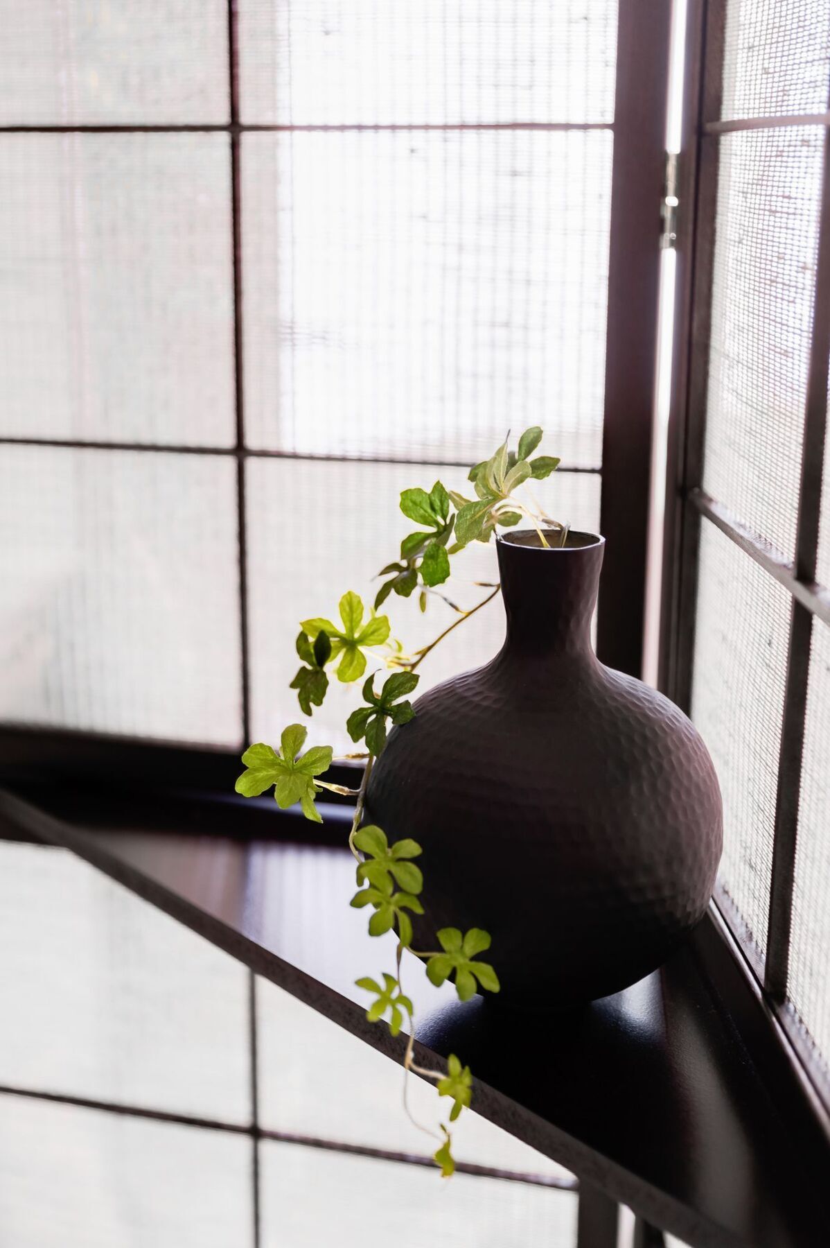 Guest house Miyabi