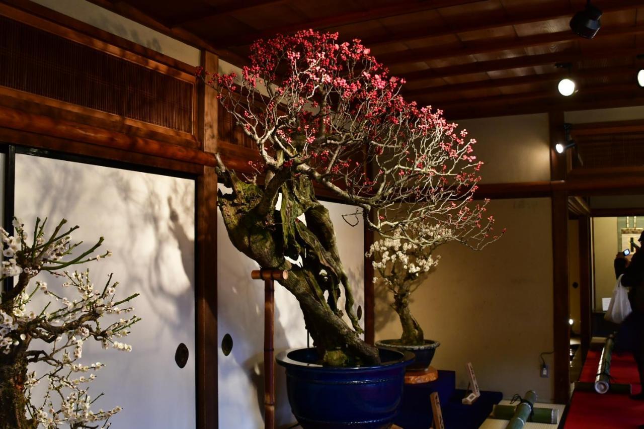 Apartment Cozy House 202, Free Wifi A Rented Electric Bicycle *